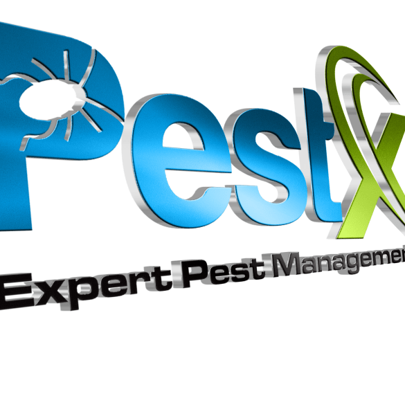 Pest X Pest Control & Carpet Cleaning